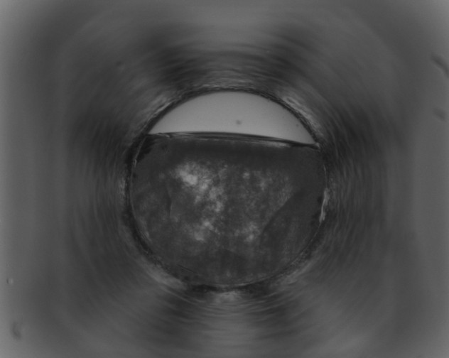 X0000093130309200710171313