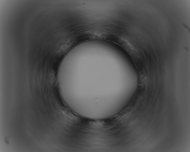 X0000093130318200710171313