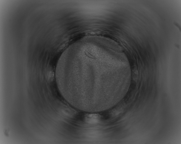 X0000093130324200710171313