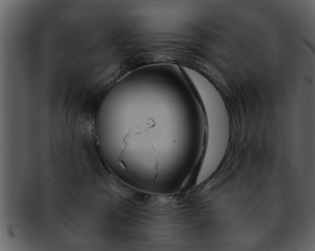 X0000093130329200710171313