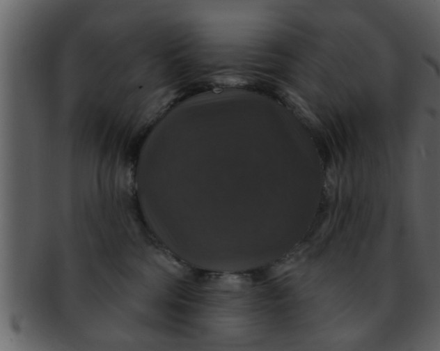 X0000093130330200710171313