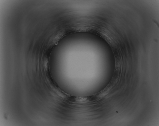 X0000093130334200710171313