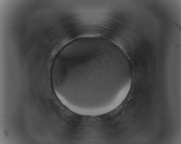 X0000093130337200710171312