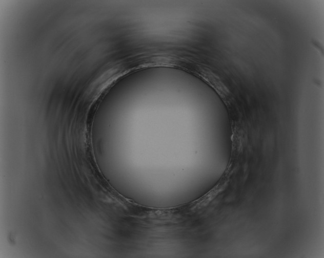 X0000093130338200710171312