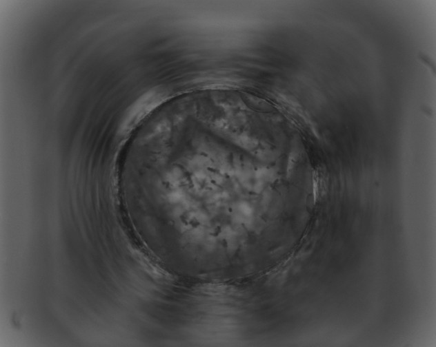 X0000093130339200710171312