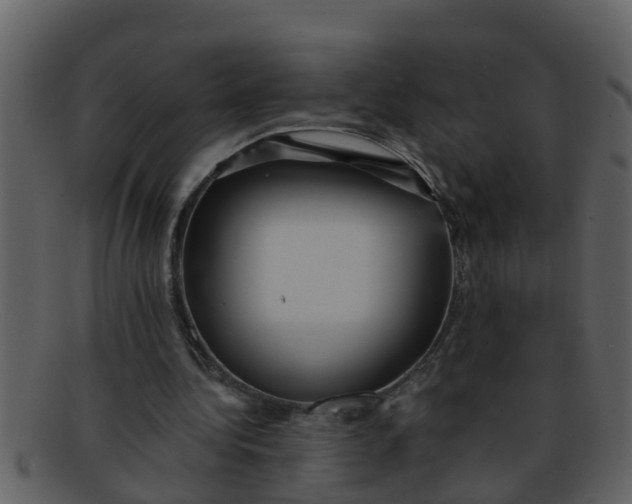 X0000093130340200710171312