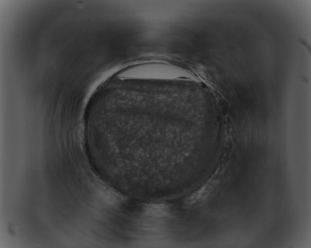 X0000093130342200710171312