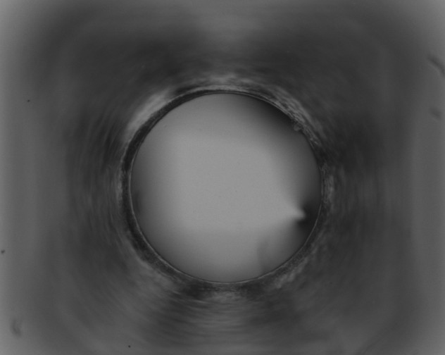 X0000093130344200710171312