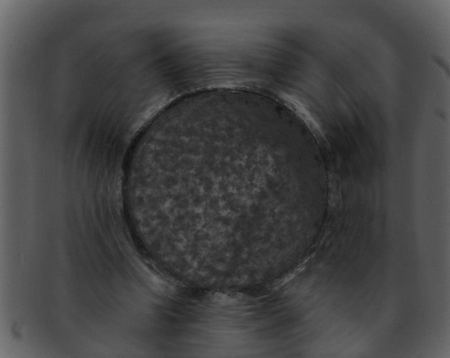 X0000093130346200710171312