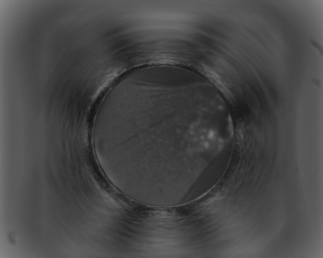 X0000093130347200710171312