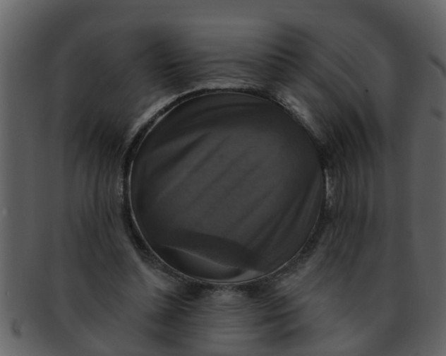 X0000093130348200710171312