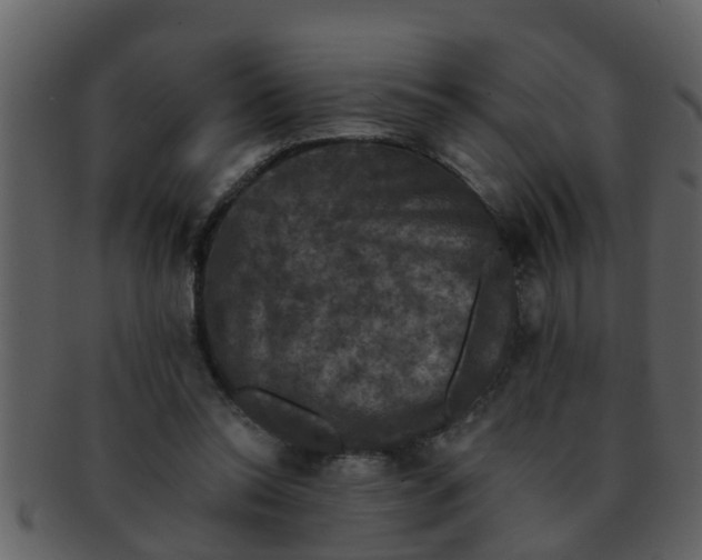 X0000093130350200710171312