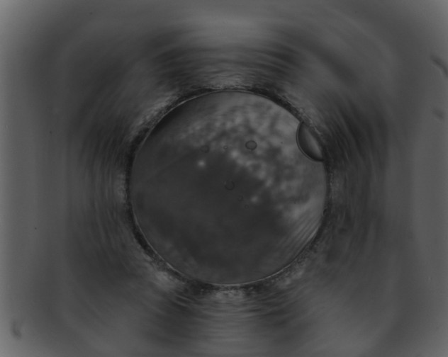 X0000093130353200710171312