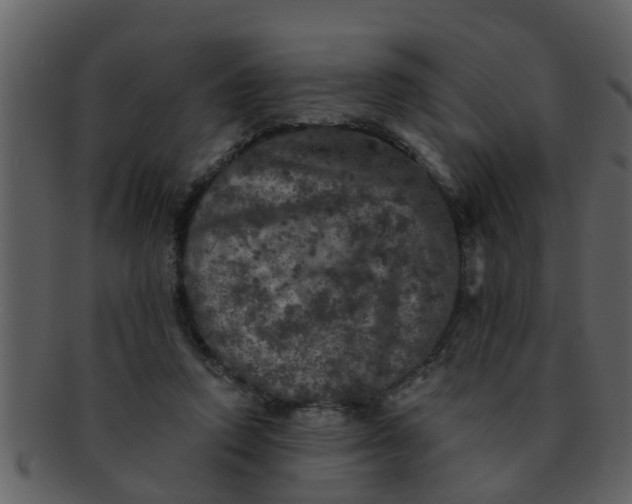 X0000093130354200710171312