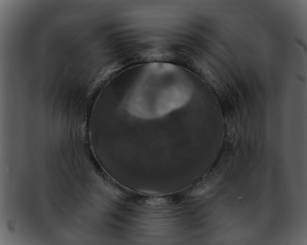 X0000093130357200710171312