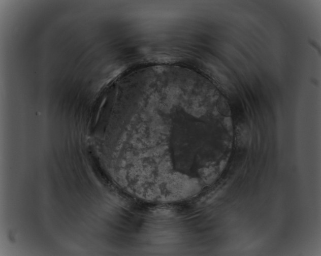 X0000093130358200710171312