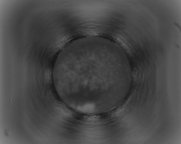 X0000093130359200710171312