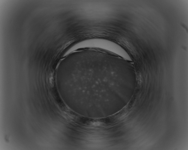 X0000093130360200710171312