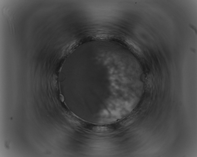 X0000093130361200710171312