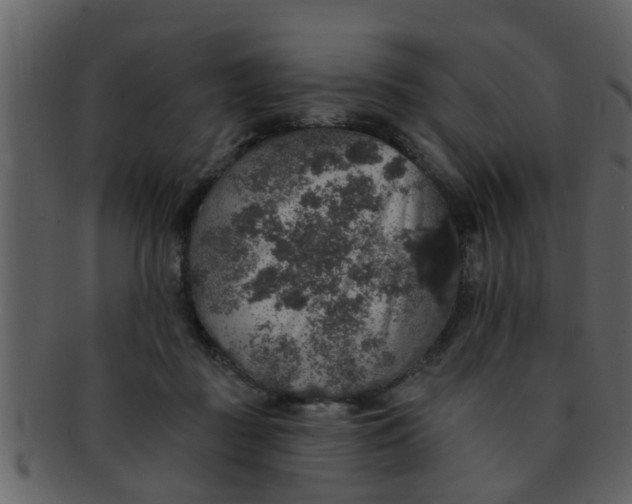 X0000093130363200710171312