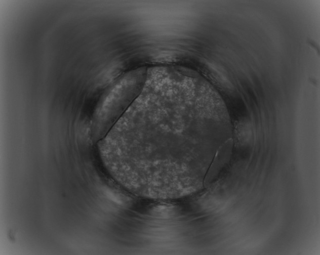 X0000093130364200710171312