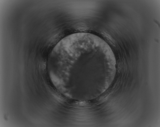 X0000093130365200710171312