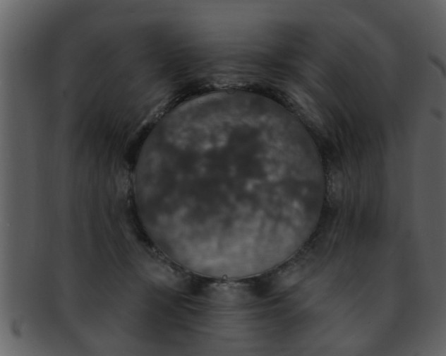 X0000093130367200710171312