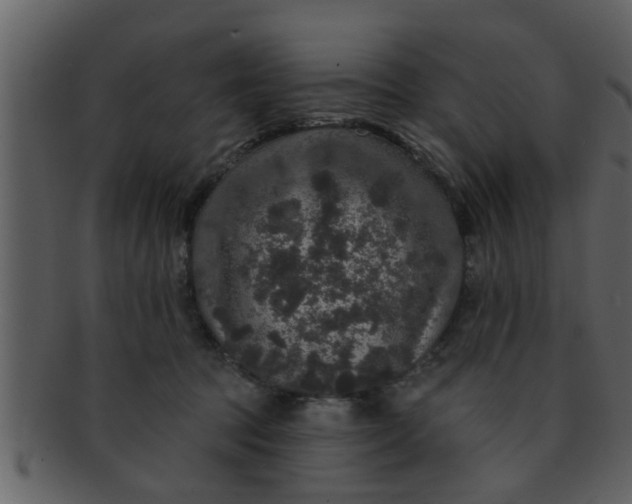 X0000093130369200710171312