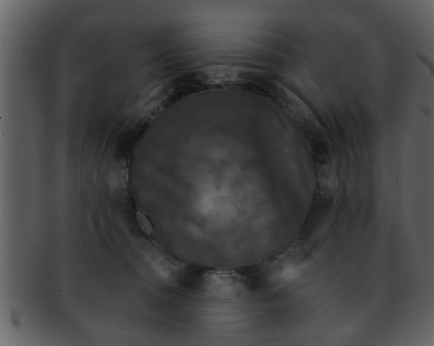 X0000093130372200710171312