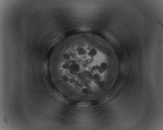 X0000093130373200710171312