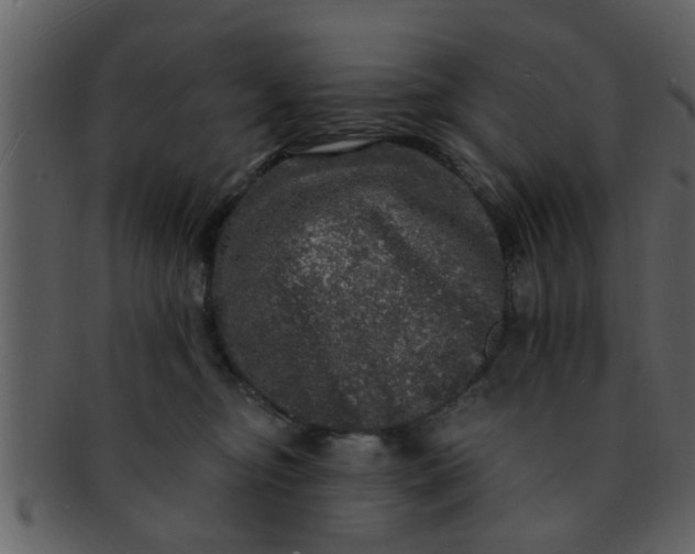 X0000093130374200710171312