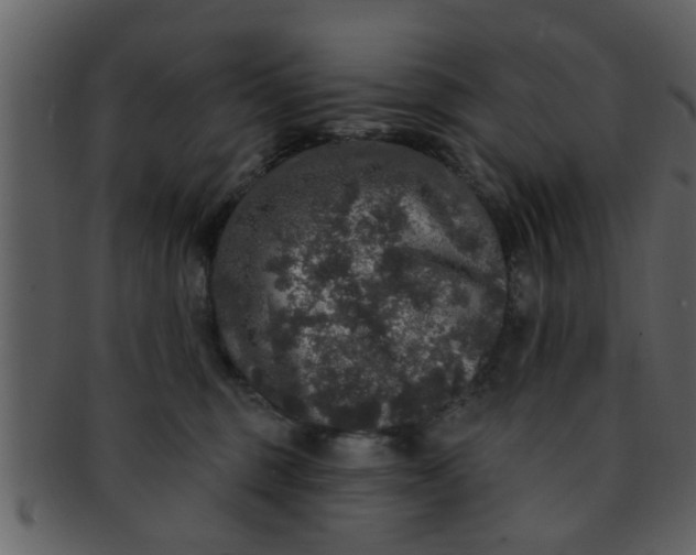 X0000093130375200710171312