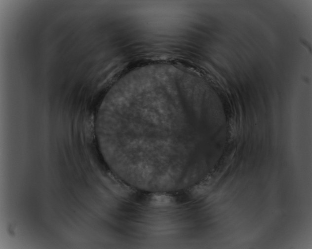 X0000093130376200710171312