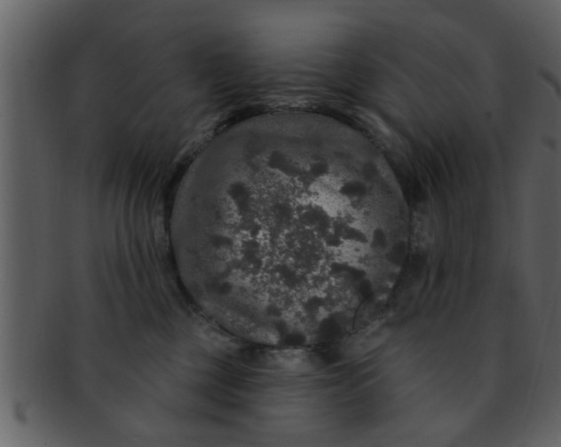 X0000093130377200710171313