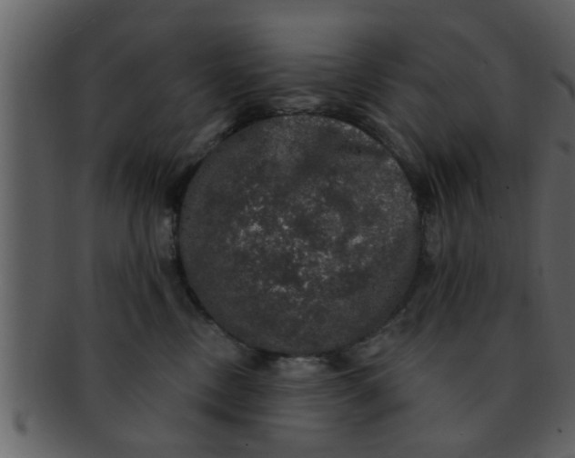 X0000093130378200710171313