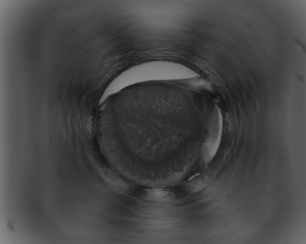 X0000093130380200710171313