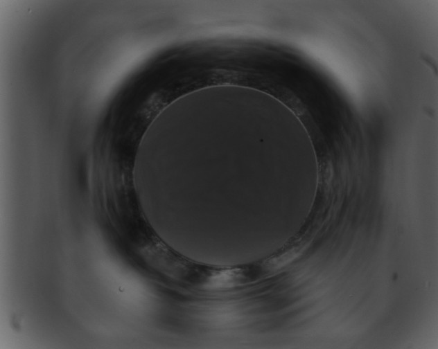 X0000093130382200710171313