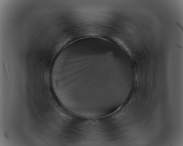 X0000093130386200710171312