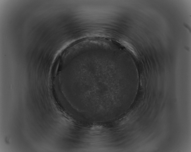 X0000093130388200710171312