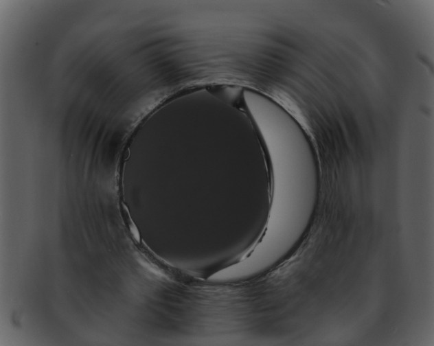 X0000093130389200710171312