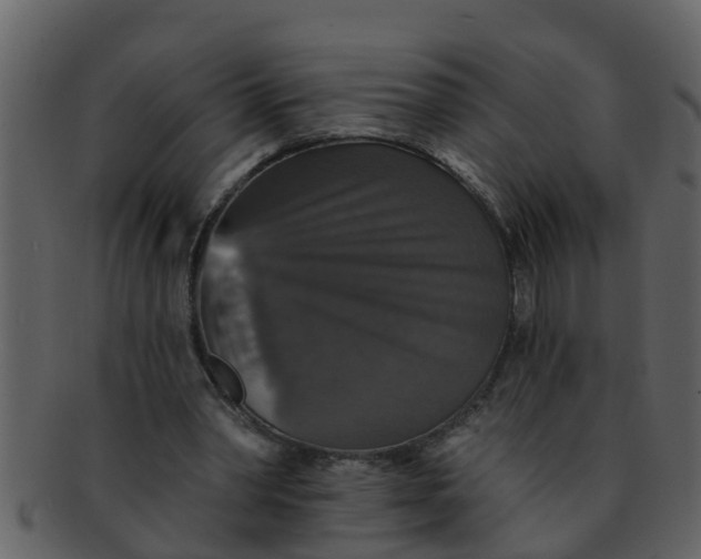 X0000093130390200710171312