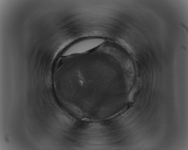 X0000093130392200710171312