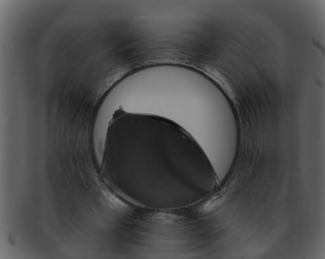 X0000093130393200710171312