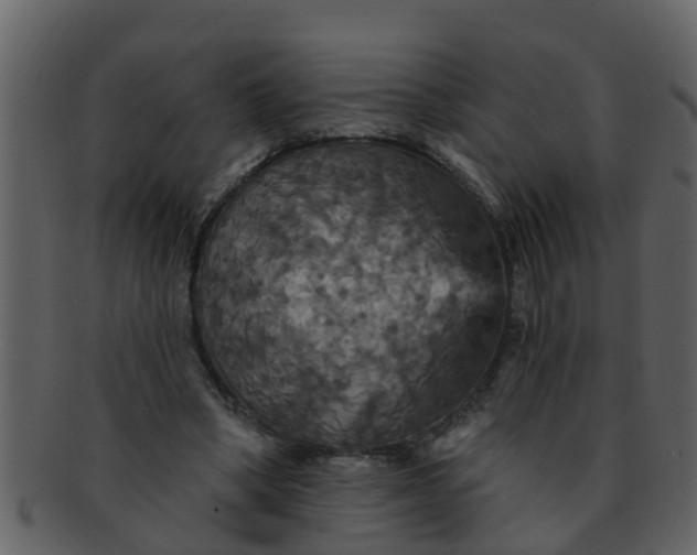 X0000093130394200710171312