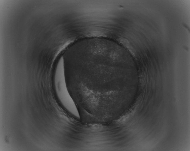 X0000093130395200710171312