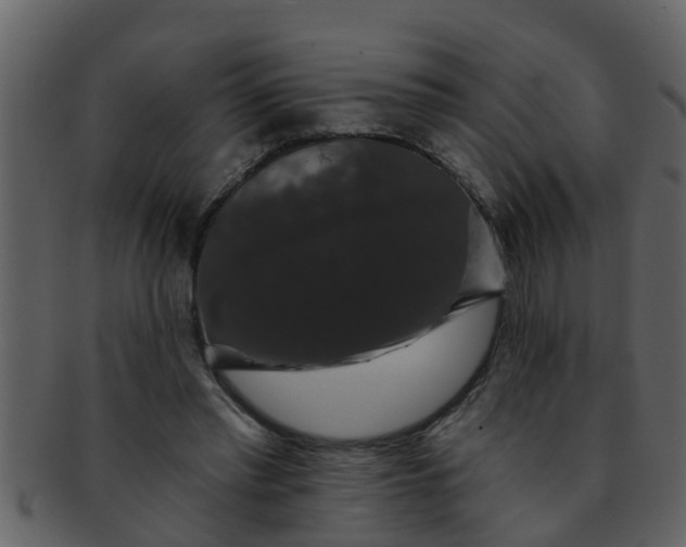 X0000093130397200710171312