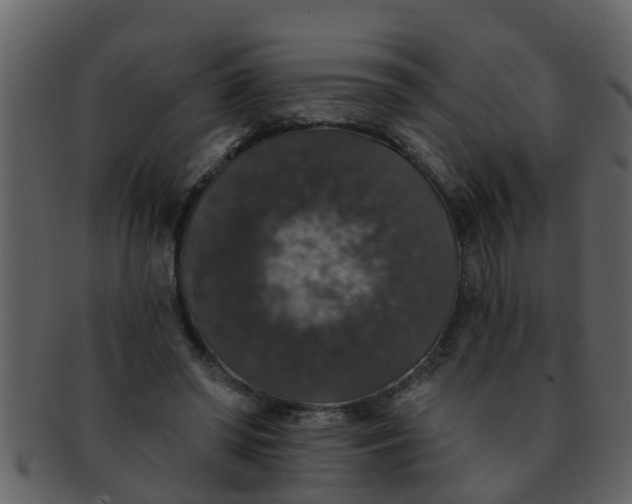 X0000093130398200710171312