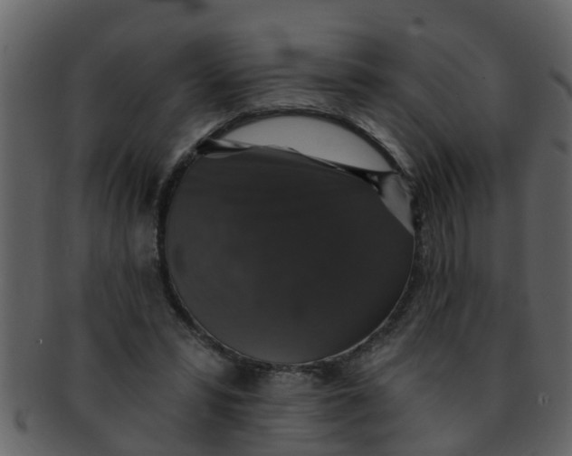 X0000093130399200710171312