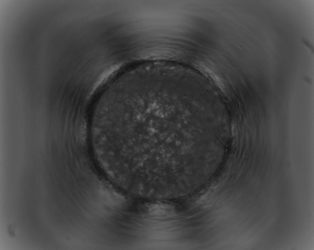 X0000093130400200710171312