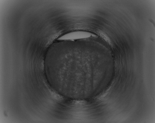 X0000093130401200710171312